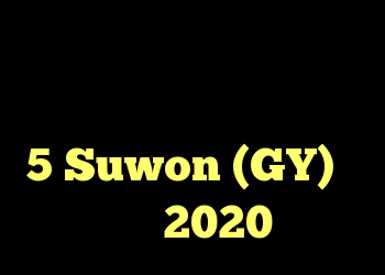 آنفلوانزها ، وبلاگها ، پادکست ها و یوتوبرهای برتر 5 Suwon (GY) در سال 2020