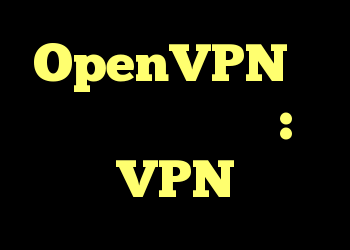 OpenVPN در گوجه فرنگی تازه: VPN