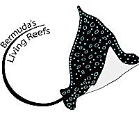 Living Reef