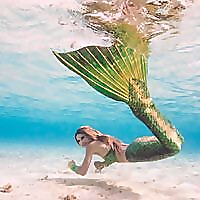 فروشگاه پری دریایی کت | وبلاگ