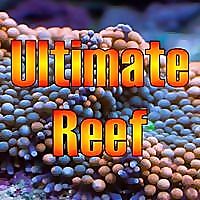 Ultimate Reef