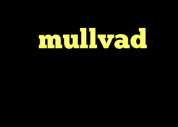 با mullvad چه کاری می توانم انجام دهم؟