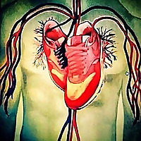 Jami Dulaney MD Plant based Wellness