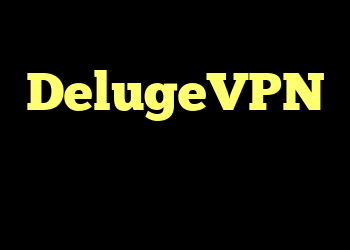 DelugeVPN بذر نمی دهد
