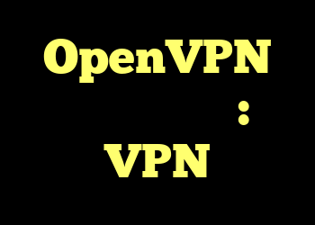 OpenVPN مسدود شده است: VPN