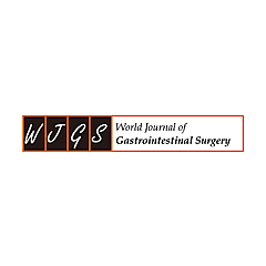 World Journal of Gastrointestinal Surgery