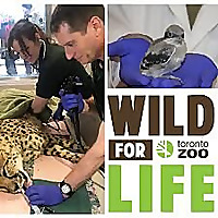 Wild For Life
