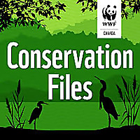Conservation Files